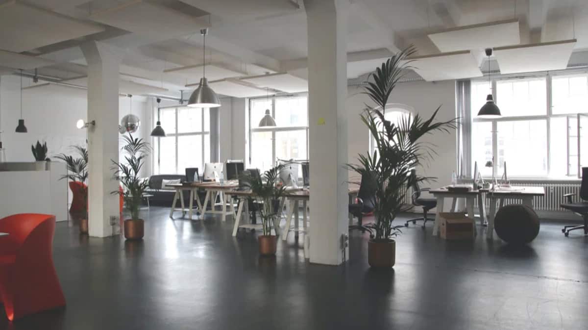 A bright, plant-filled open office with desks and tall windows